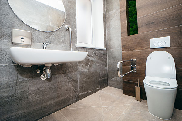 bathroom designs for accessibility