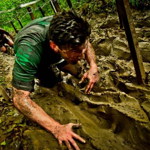 Proud to support the Royal British Legion